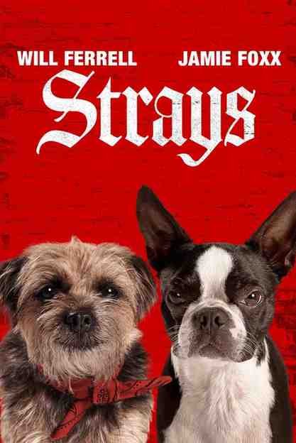 Strays Hindi Hollywood Movie Hdmovies4u
